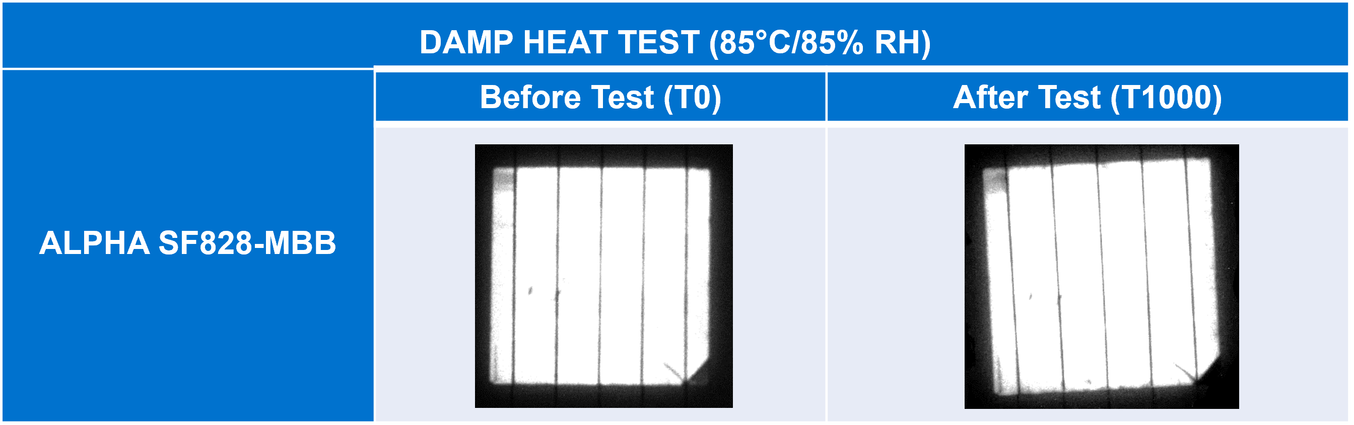 Alpha SF828 MBB Damp Heat Test