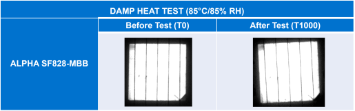 CBA_ALPHA SF828-MBB Damp Heat Test Chart