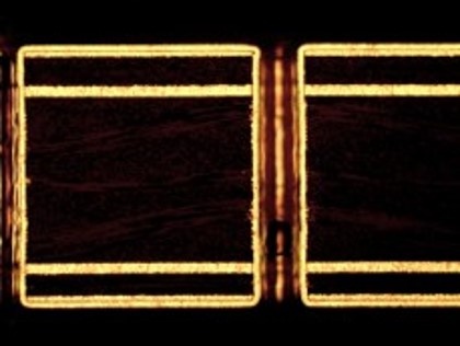 MacuSpec VF-TH 300 Enlarged