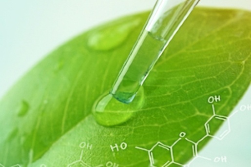 esi-env-compliance-standards-leaf